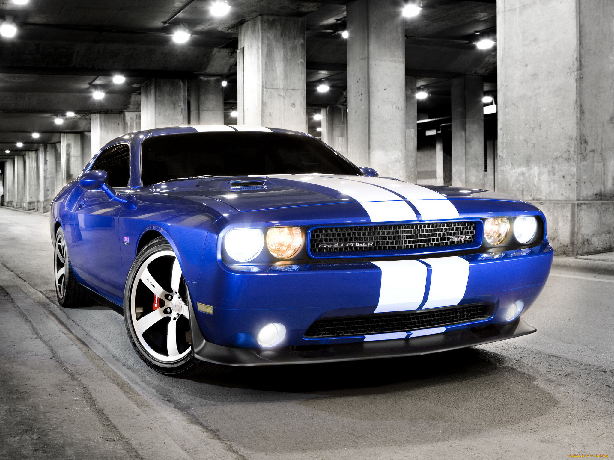 , dodge